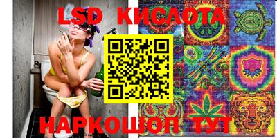 амф Севастополь