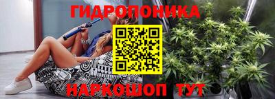 индика Северобайкальск