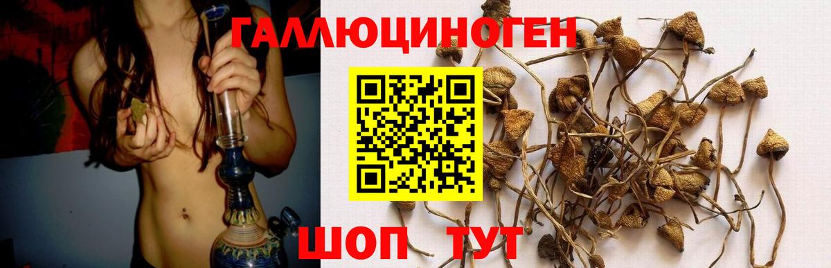 Галлюциногенные грибы прущие грибы Саянск